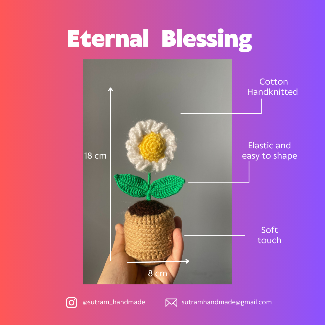 Crochet Daisy flower Pot
