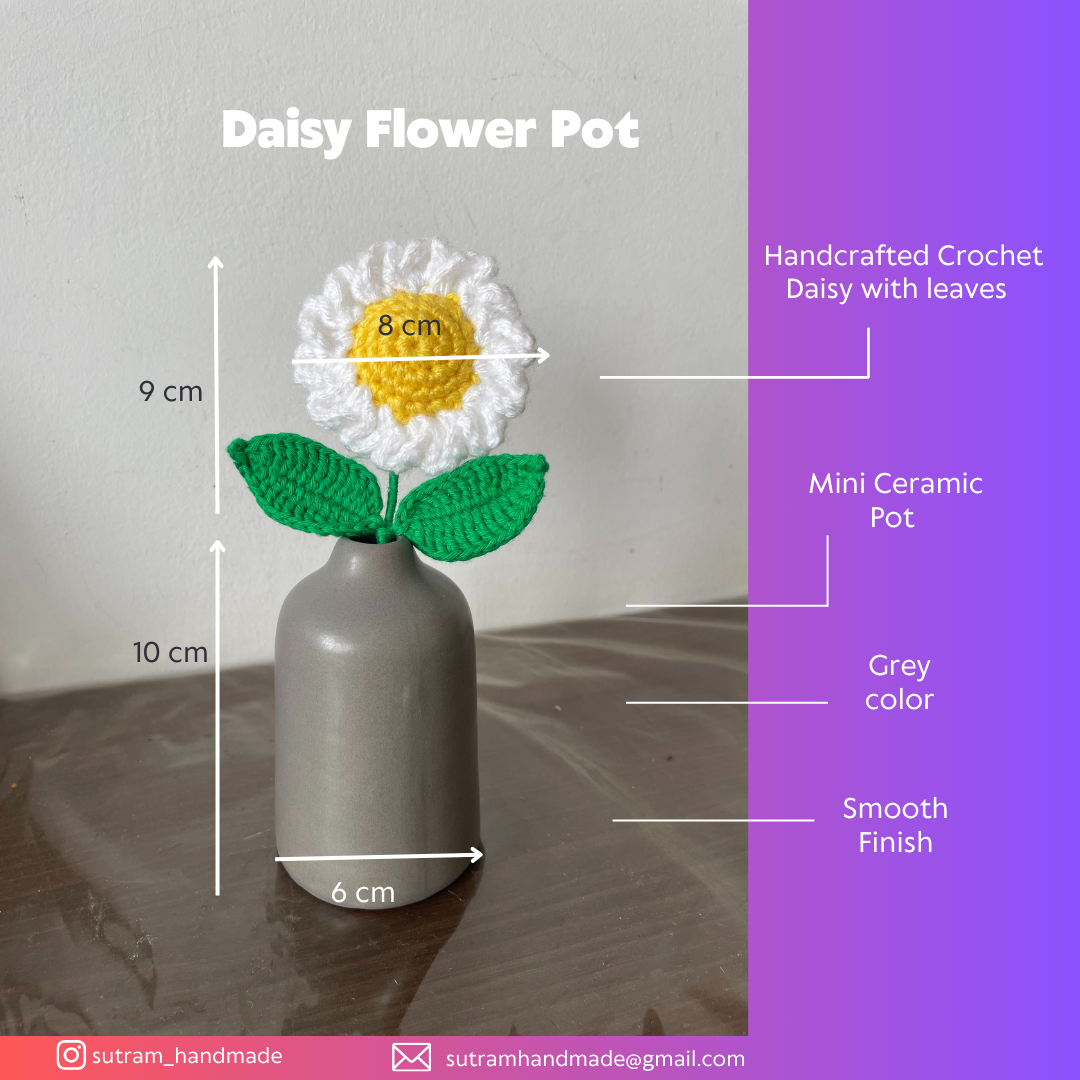 Crochet Daisy flower in Ceramic Pot