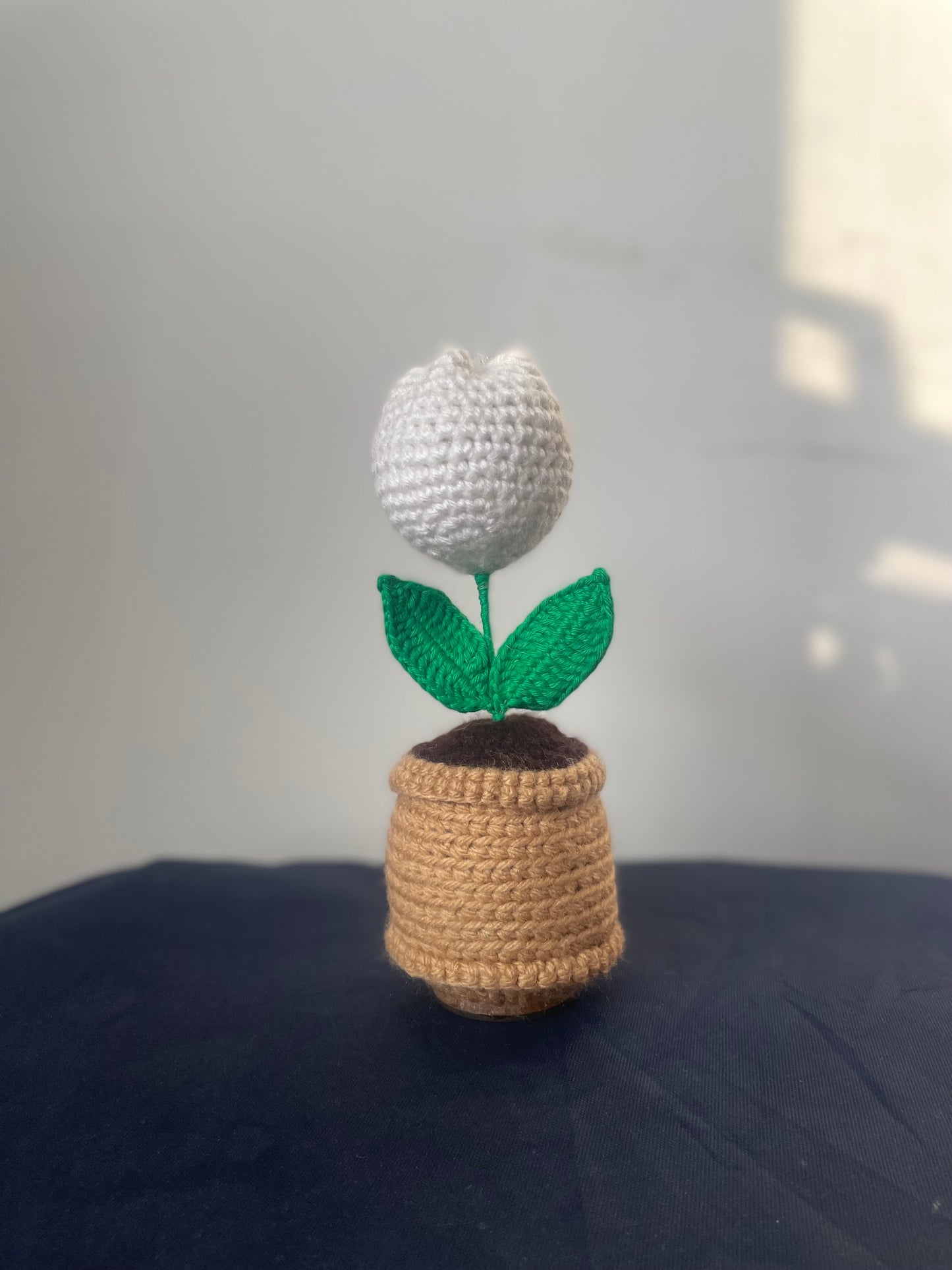 Crochet Tulip flower Pot