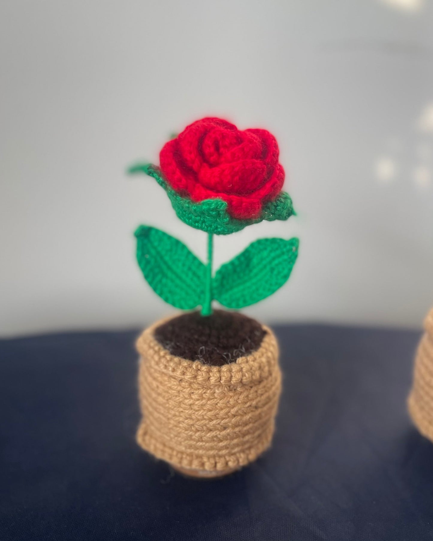 Crochet Red Rose flower Pot