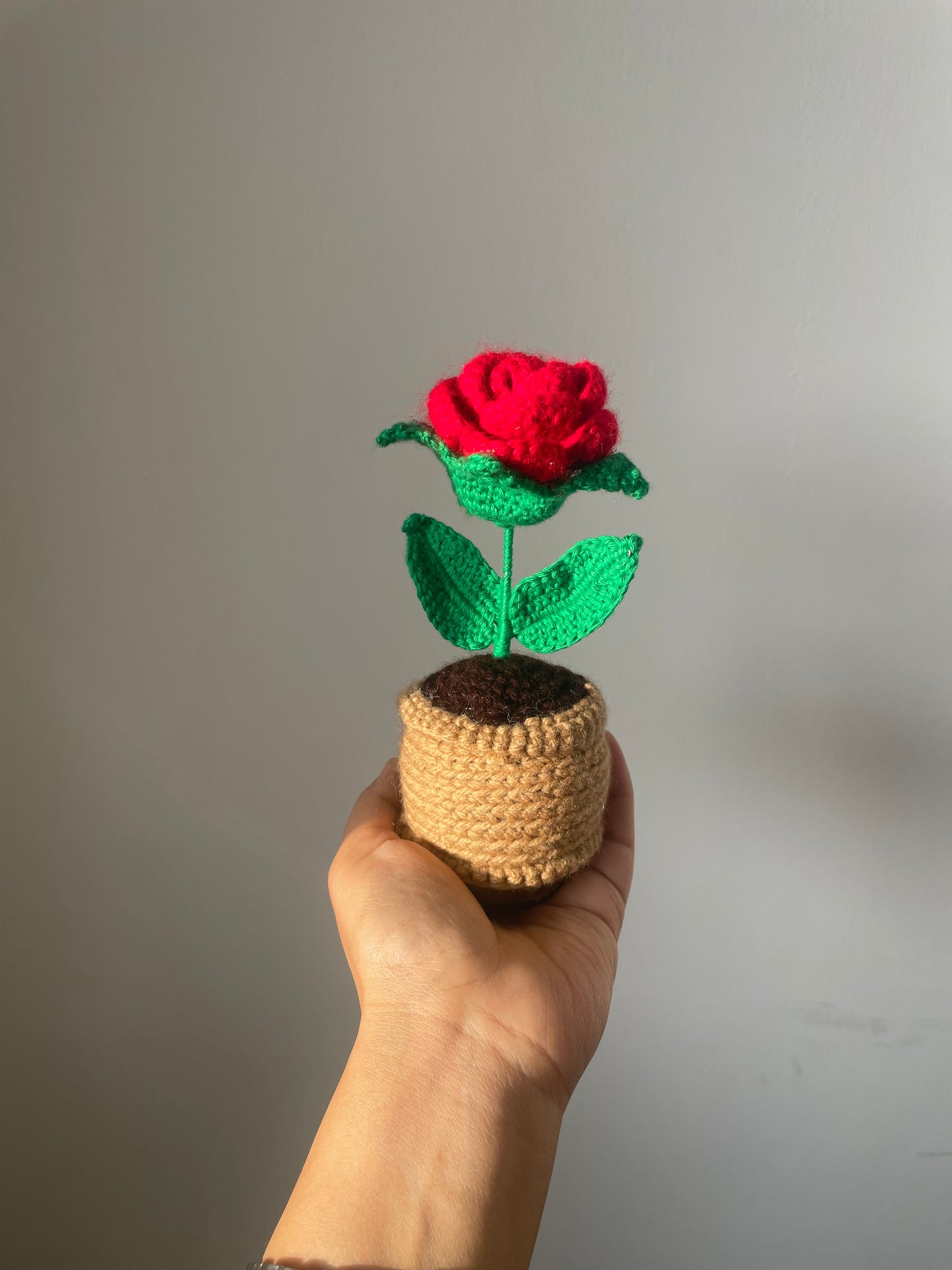 Crochet Red Rose flower Pot