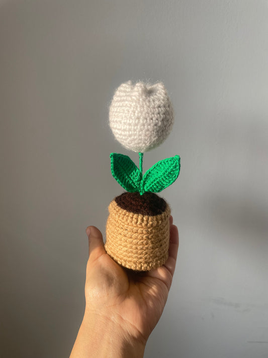 Crochet Tulip flower Pot