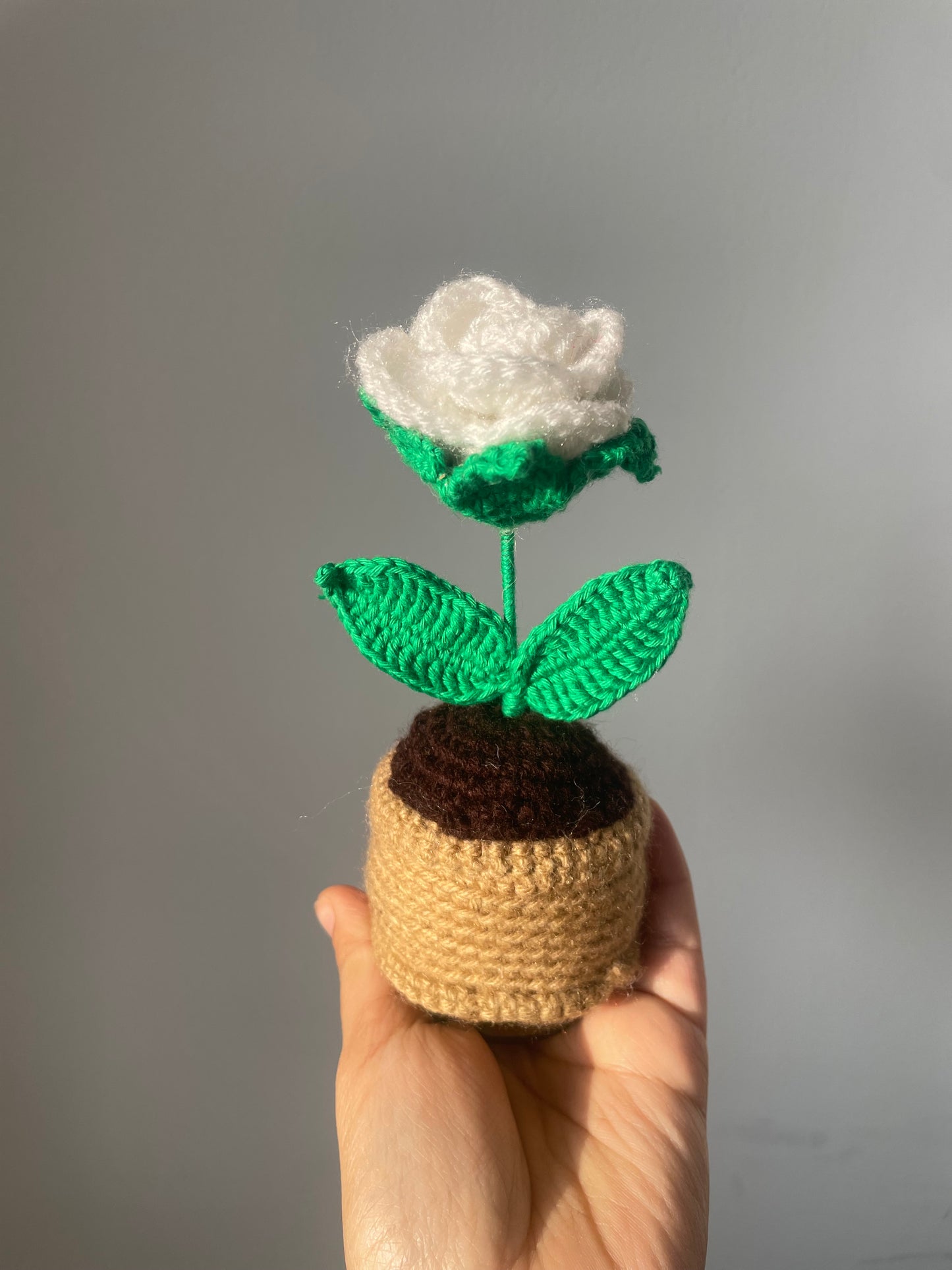 Crochet White Rose flower Pot
