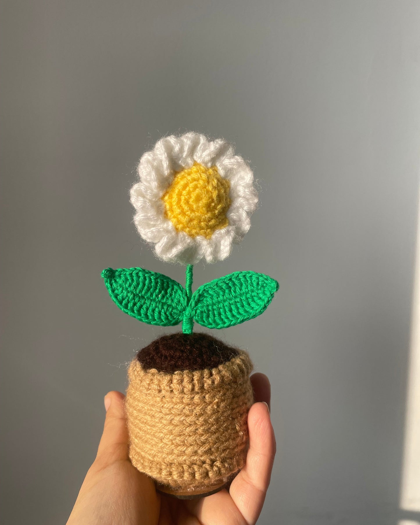 Crochet Daisy flower Pot